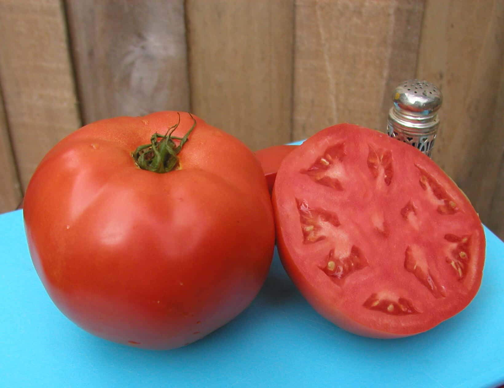 Scarlet Red Tomato (Pelleted)