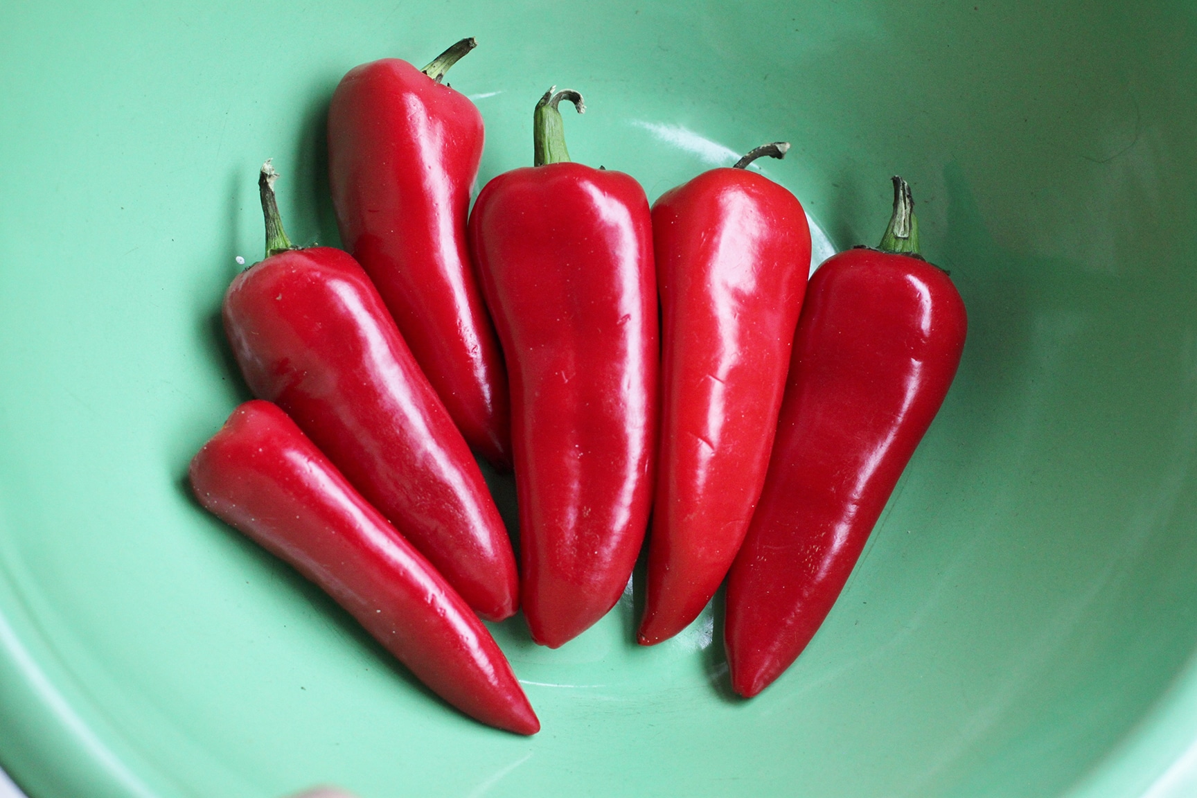 Sweety Sweet Pepper (Treated Seed)