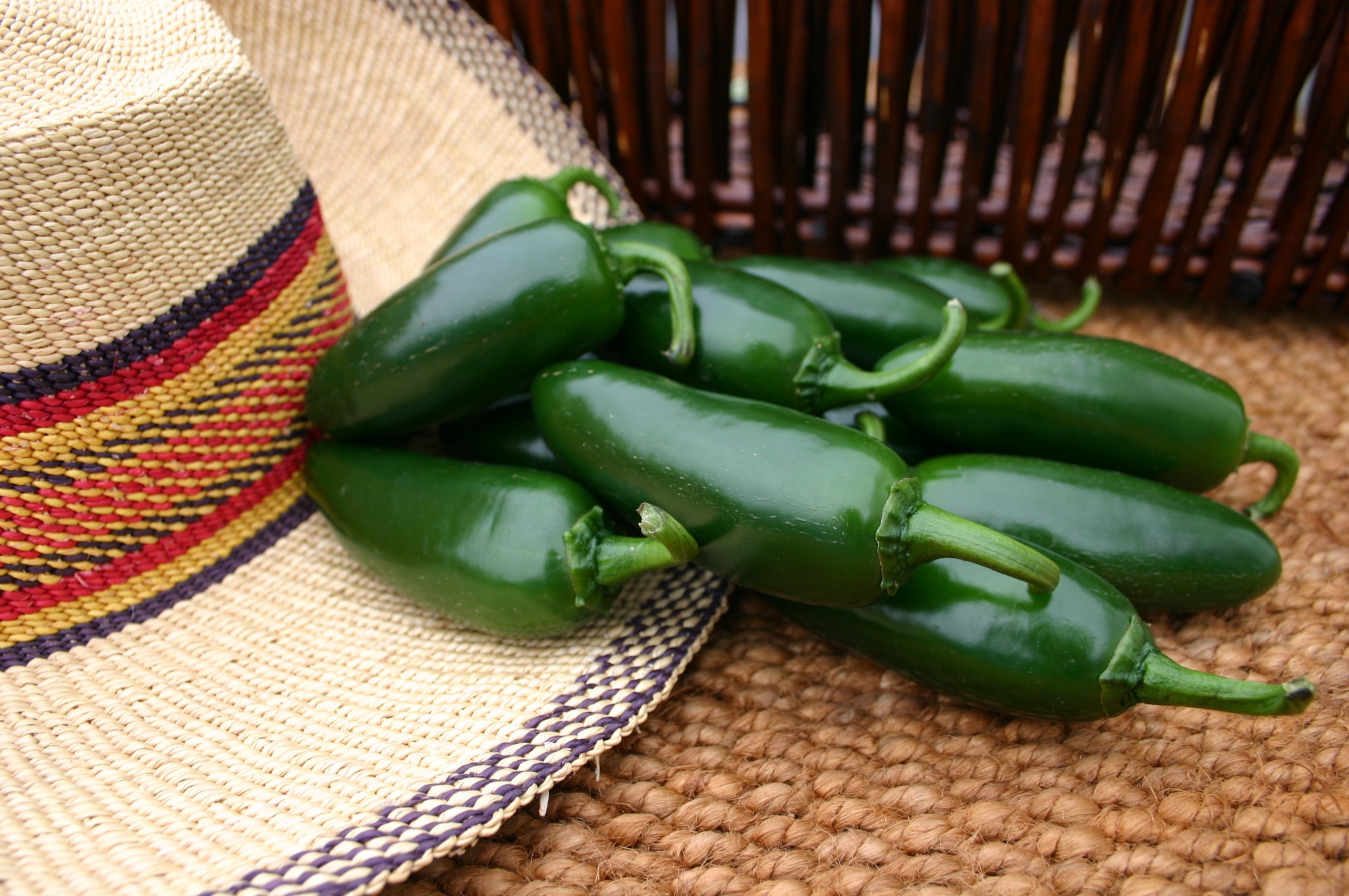 Tormenta Jalapeno Pepper (Treated Seed)