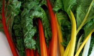 Celebration Swiss Chard (Not Treated)