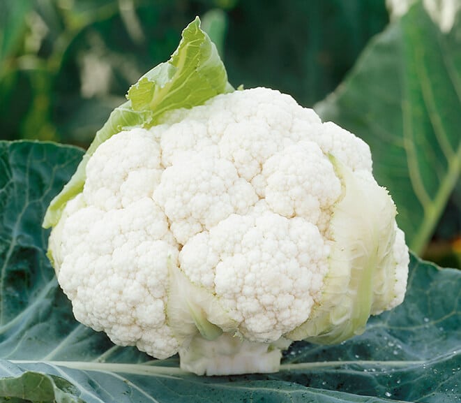 Clarify Cauliflower (Not Treated)