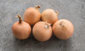 Cortland Onion (Organic)