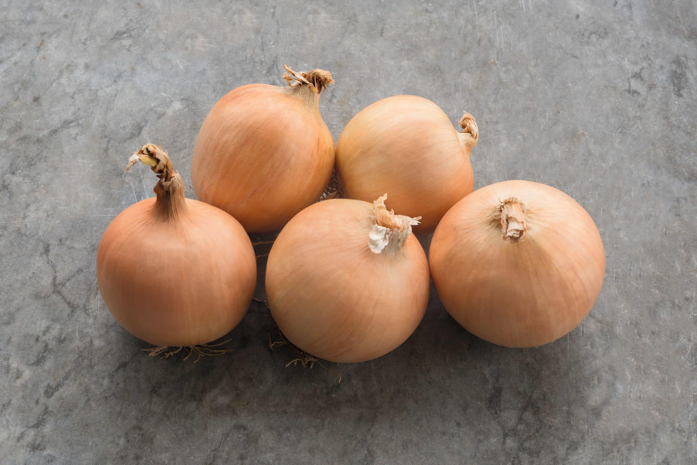 Cortland Onion (Organic)