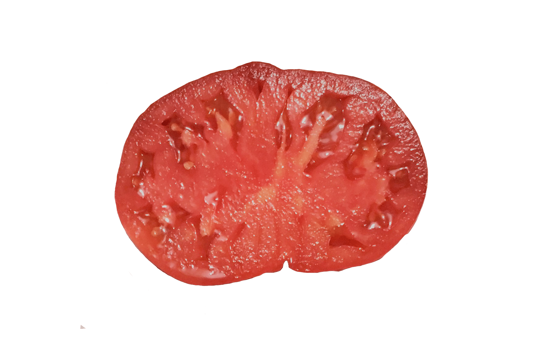 Damsel Tomato (Organic) - Image 2