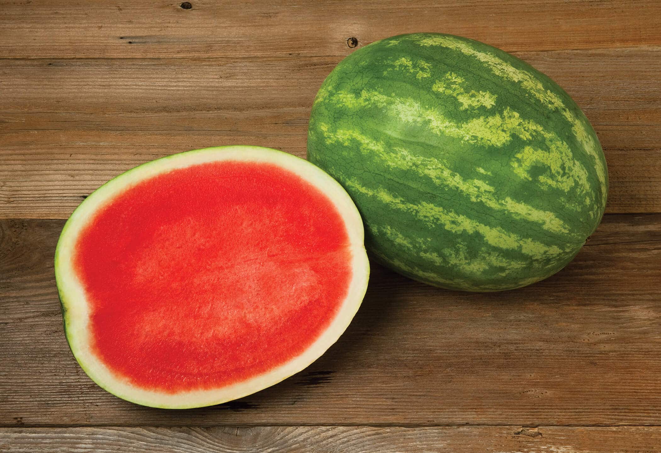 Excursion Watermelon (Primed/Farmore)