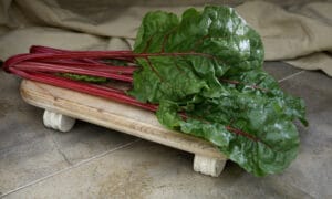 Fire Fresh Swiss Chard (Not Treated)