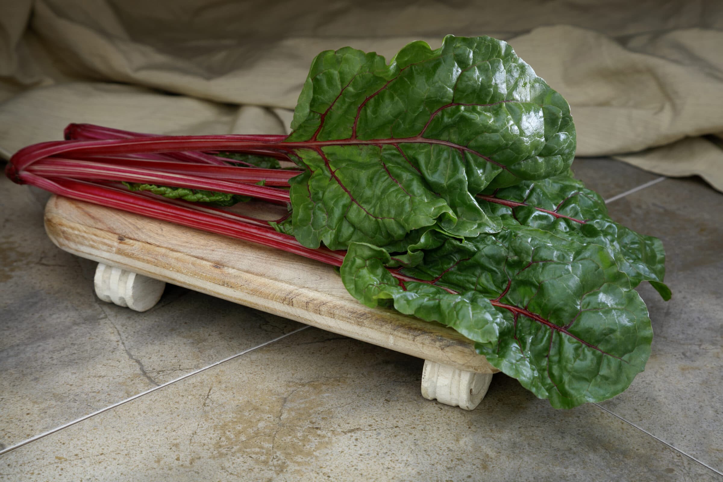 Fire Fresh Swiss Chard (Treated Seed)