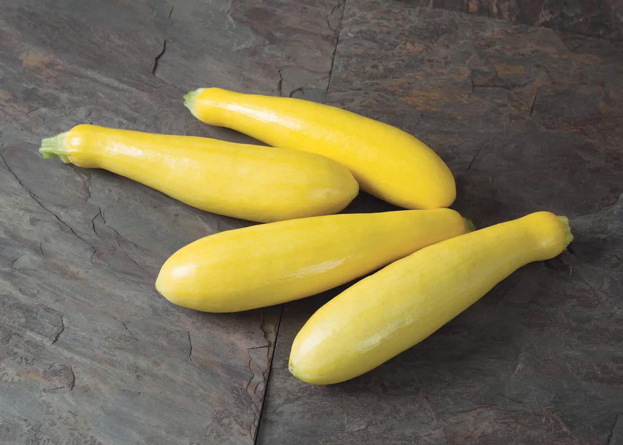 Grandprize Squash (Farmore)