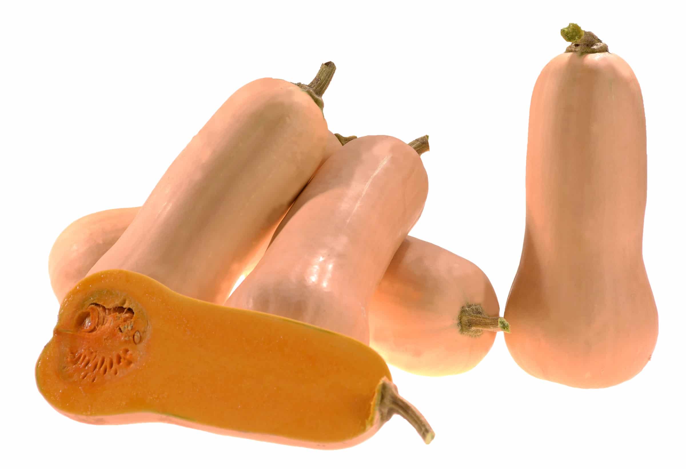 Granite Squash (Not Treated)