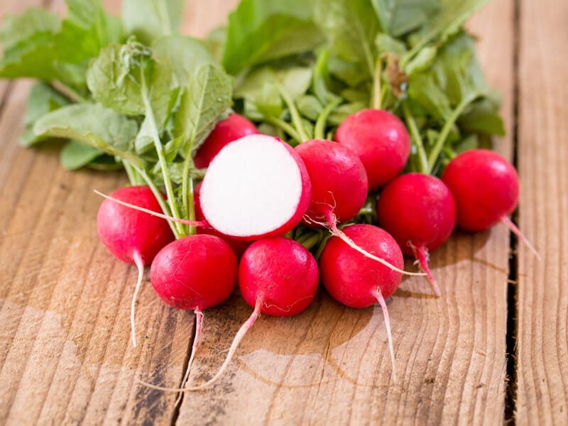Melito Radish (Not Treated)