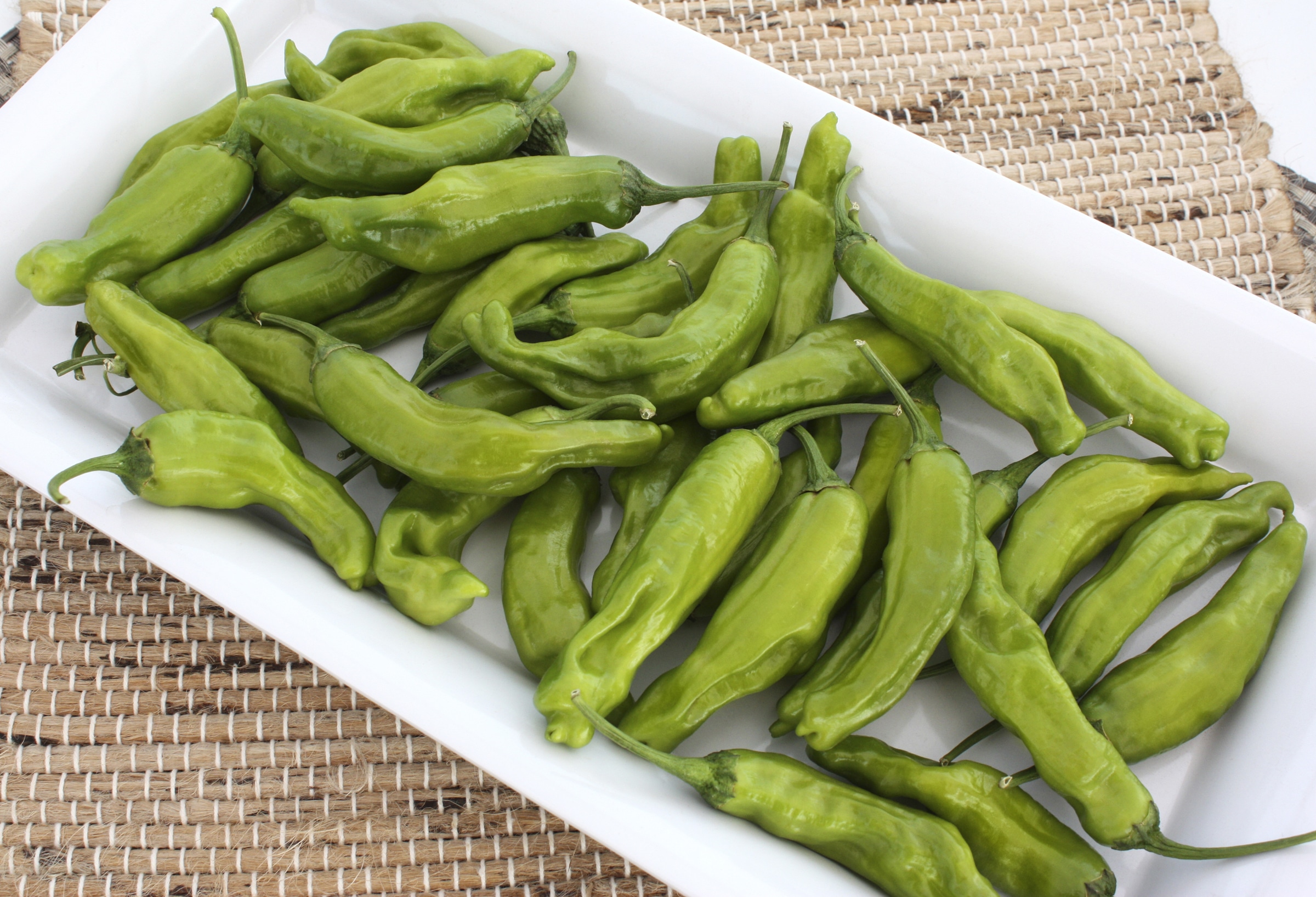 Takara Sweet Pepper (Not Treated) - Image 3