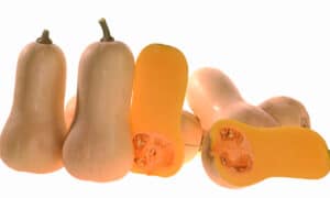 Prism Squash (Farmore)
