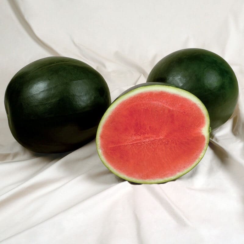 Sweet Gem Watermelon (Not Treated)