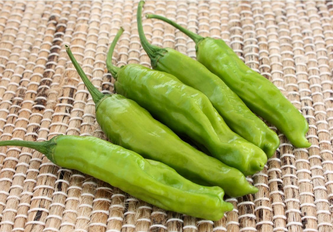 Takara Sweet Pepper (Not Treated)