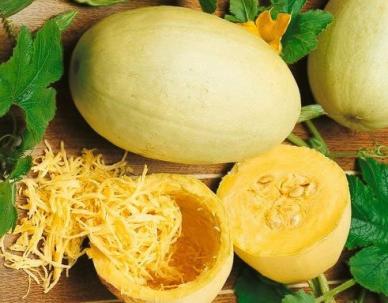 Vegetable Spaghetti Squash (Farmore)