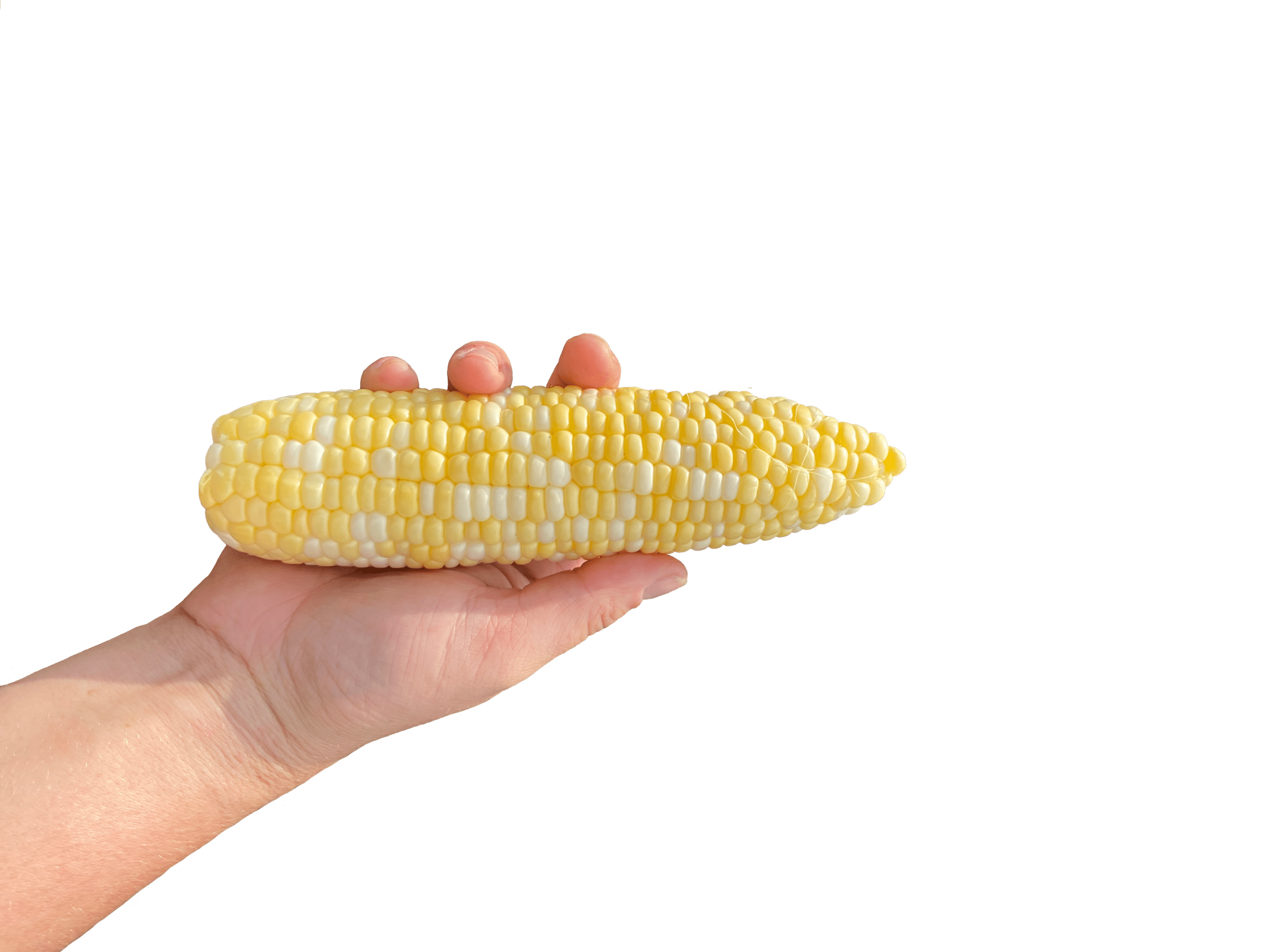 Big N Tender Sweet Corn (Cruiser Treated)