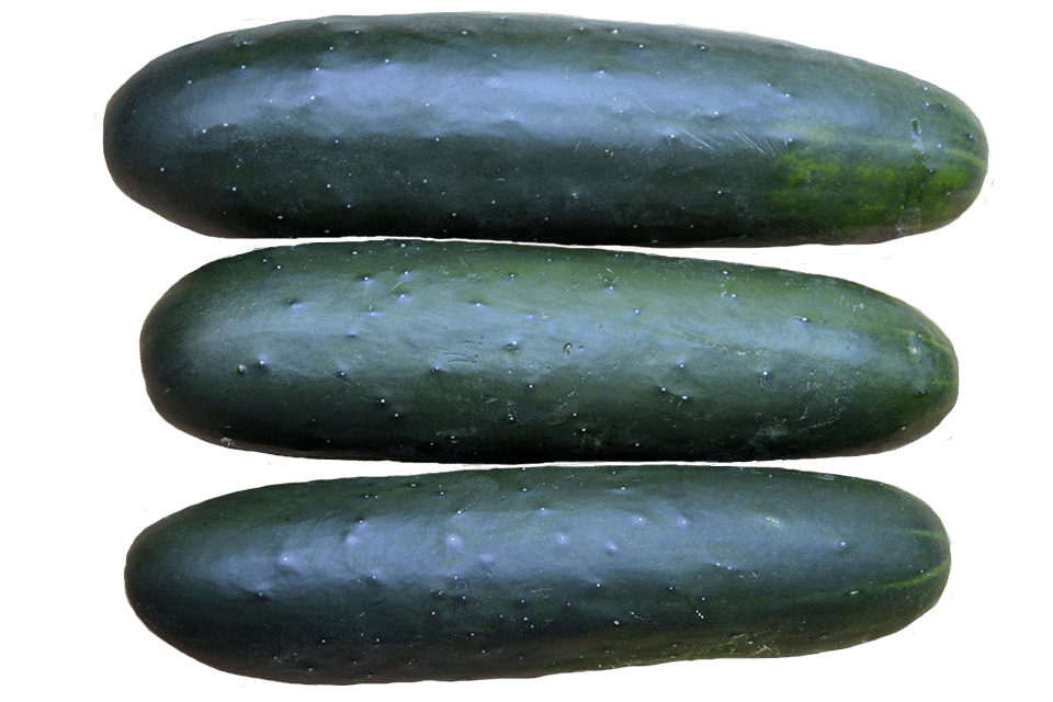 Brickyard Cucumber (Farmore Treated)