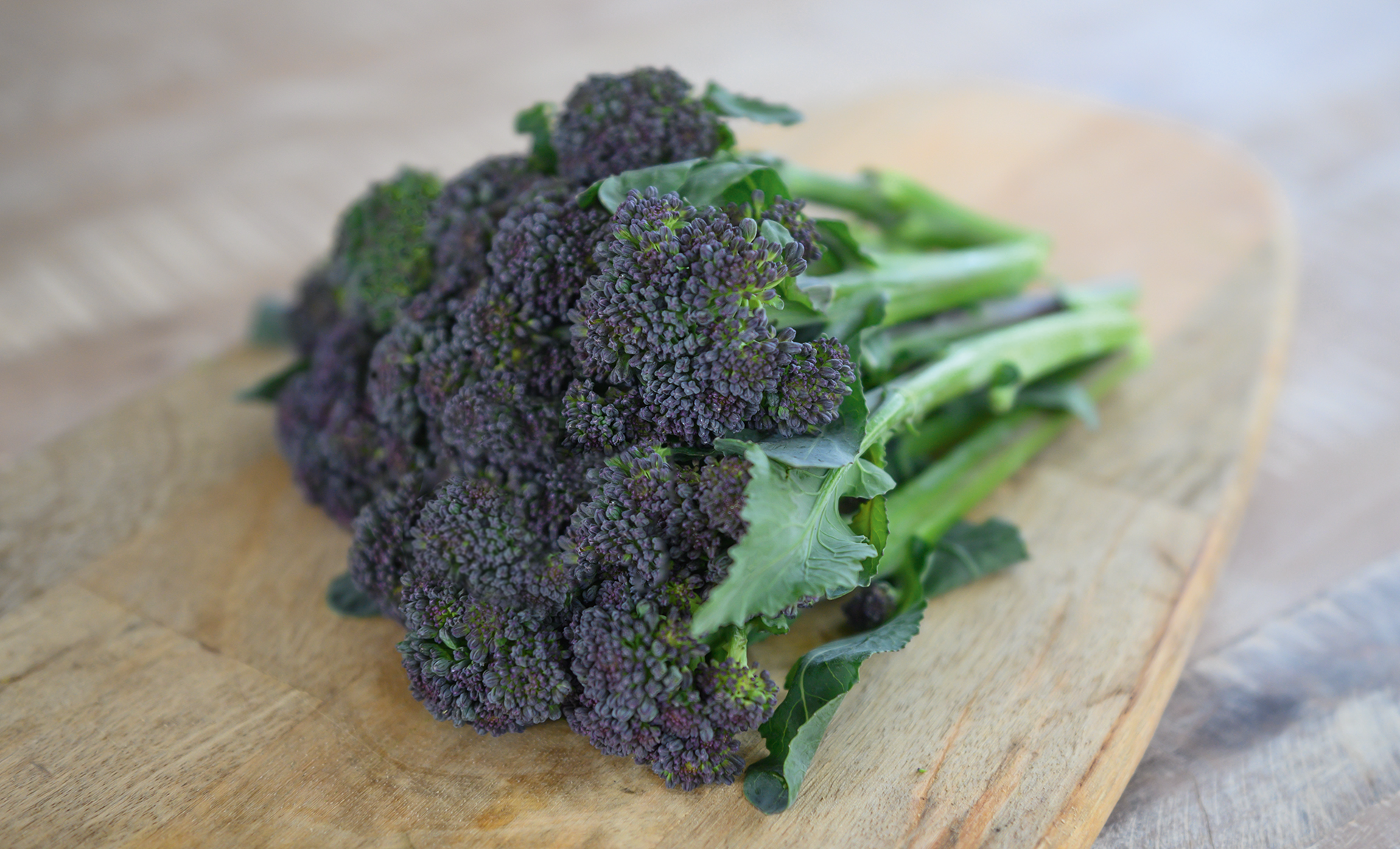 Burgundy Broccoli (Not Treated)