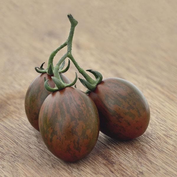 Chocolate Sprinkles Tomato (Not Treated) - Image 2