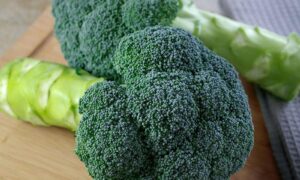 Eastern Magic Broccoli (Not Treated)