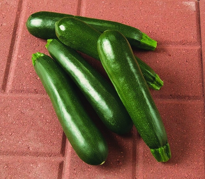 Everglade Zucchini (Farmore)