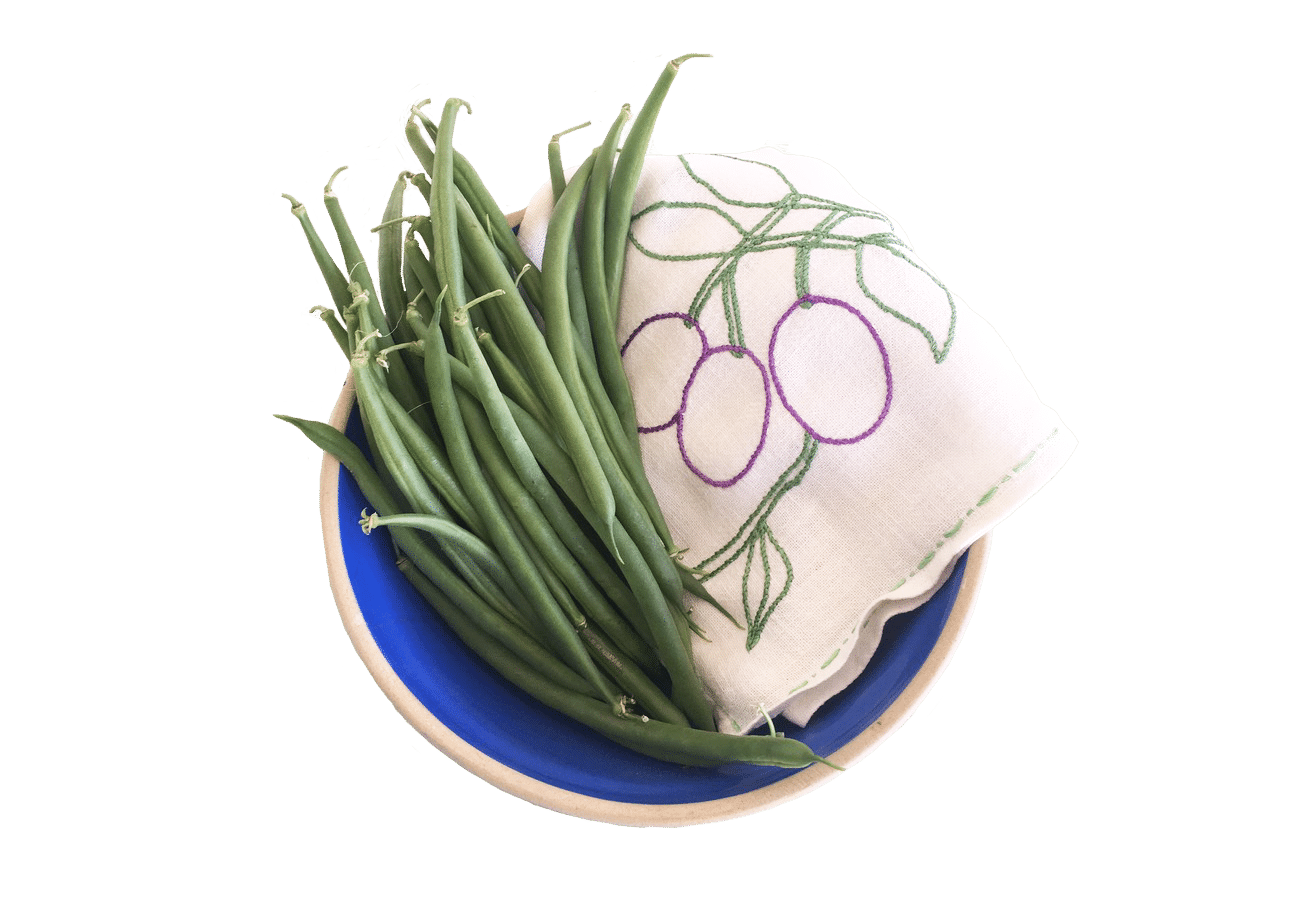 Home Run Green Pod Bush Bean (Cruiser Treated Seed)