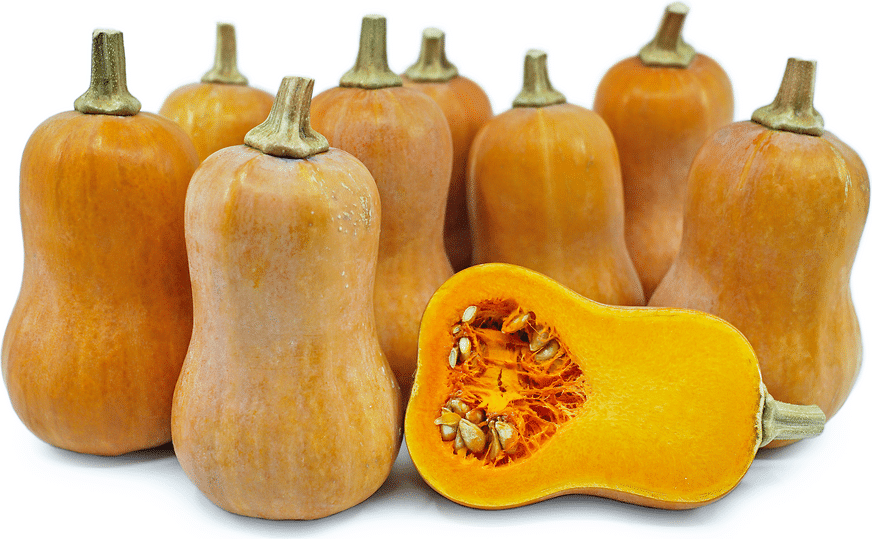 Honeynut Squash (Not Treated)