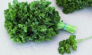 Parsley Jade (Not Treated)