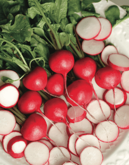 Red Castle Radish (Not Treated)