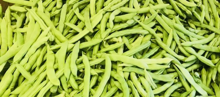 Volunteer Half Runner Bean (Treated Seed)