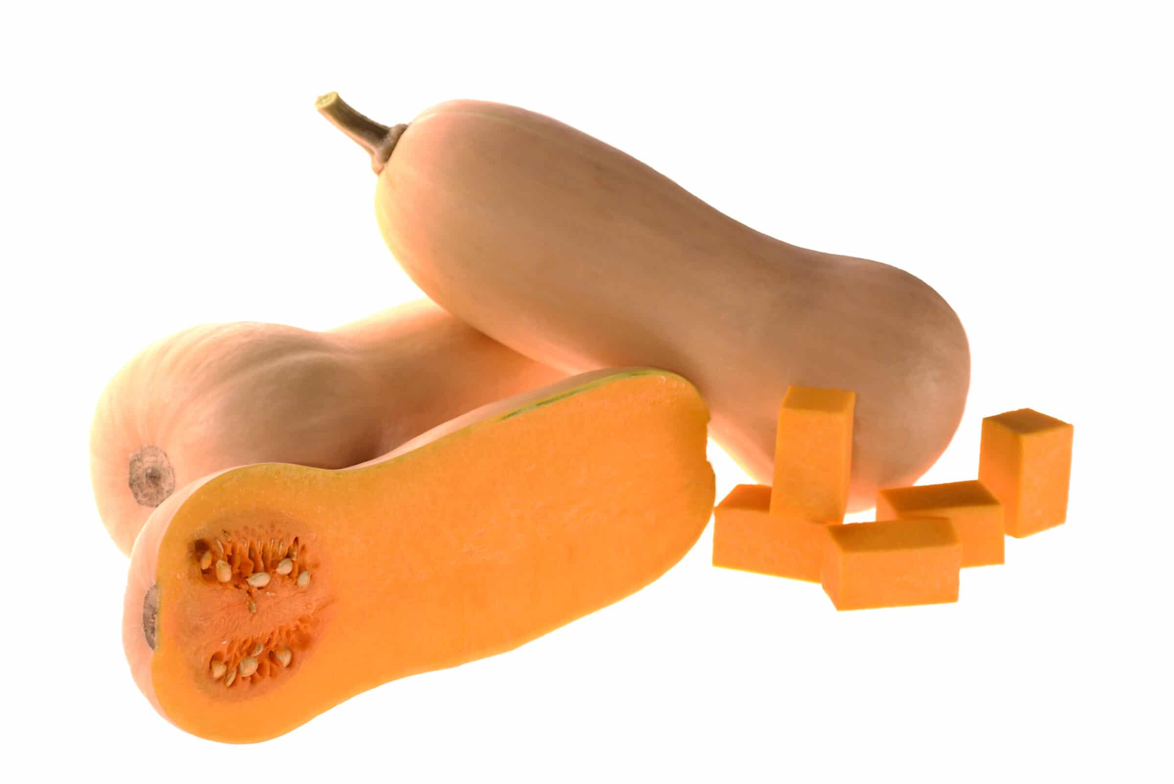 Yukon Squash (Treated Seed)