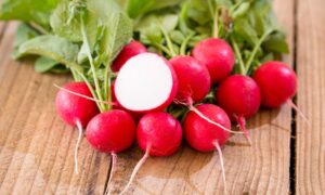 Melito Radish (Treated Seed)