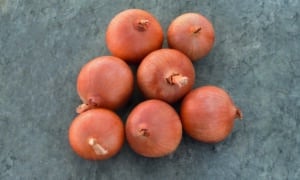 Dawson Onion (Pelleted)