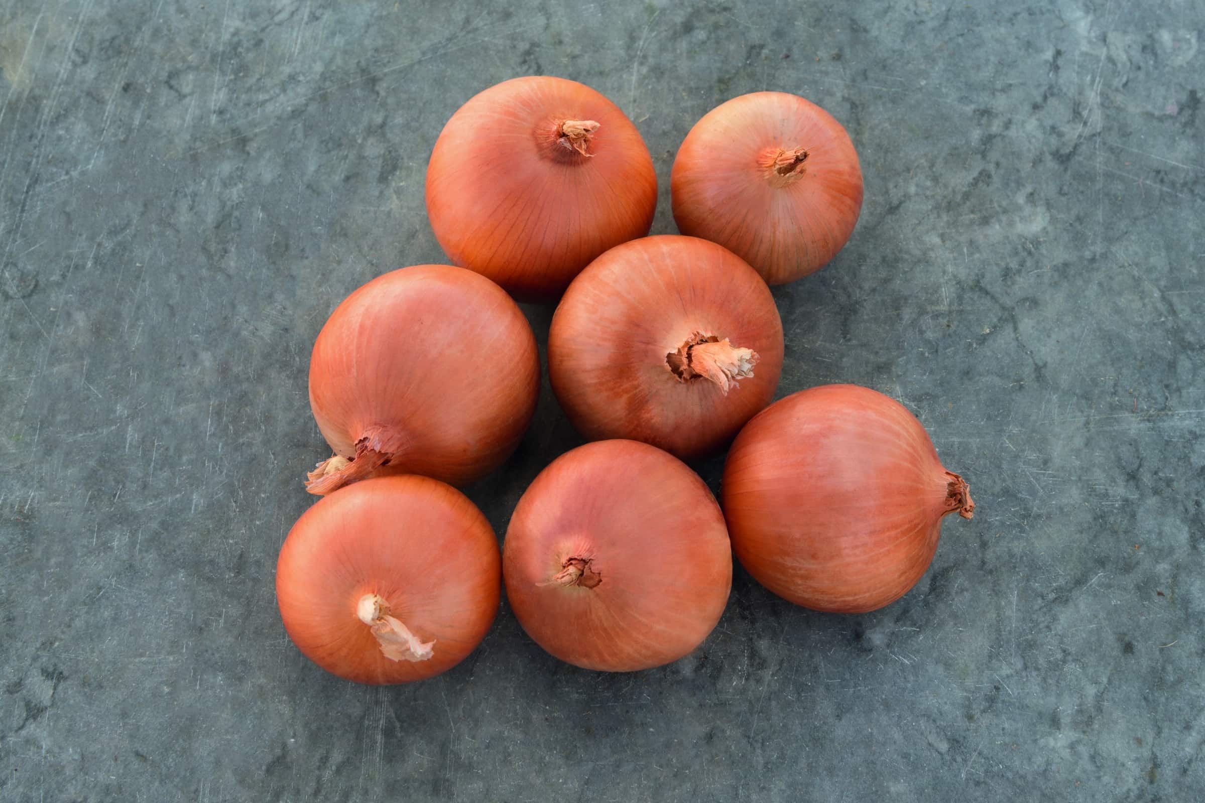Dawson Onion (Pelleted)