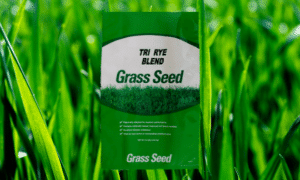 SEEDWAY Tri-Rye Blend