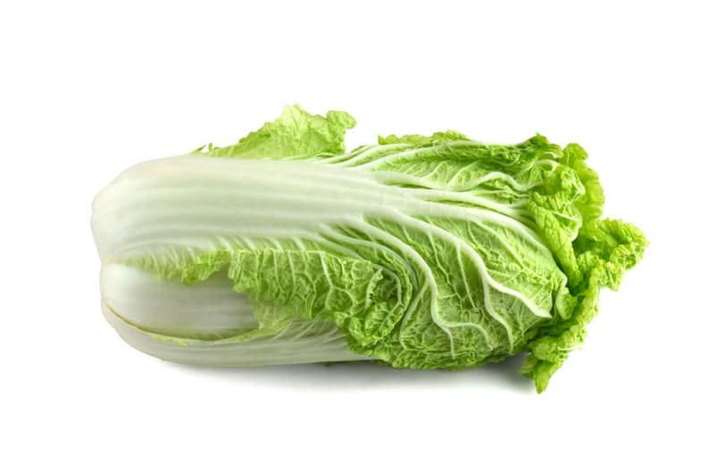 Michihli Chinese Cabbage (Not Treated)