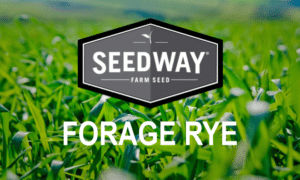 Grazemaster Winter Forage Rye