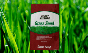 SEEDWAY Shady Mixture