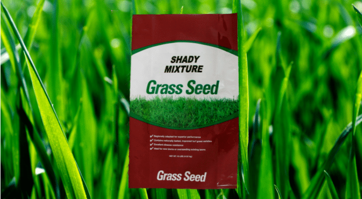 SEEDWAY Shady Mixture