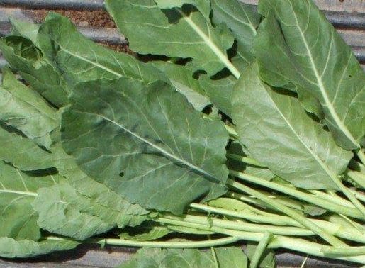 Vates Collard Greens (treated)