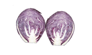 Lodero Cabbage (Treated Seed)