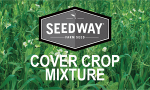 Ante Up (Winter-Kill Soil Conditions)