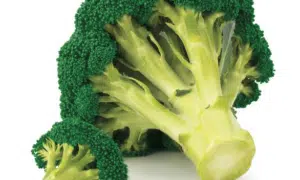 BC1764 Broccoli (Treated Seed)