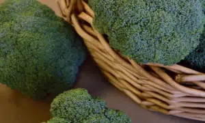 Castle Dome Broccoli (Treated Seed)