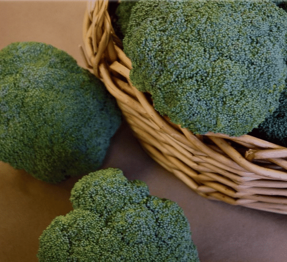 Castle Dome Broccoli (Treated Seed)