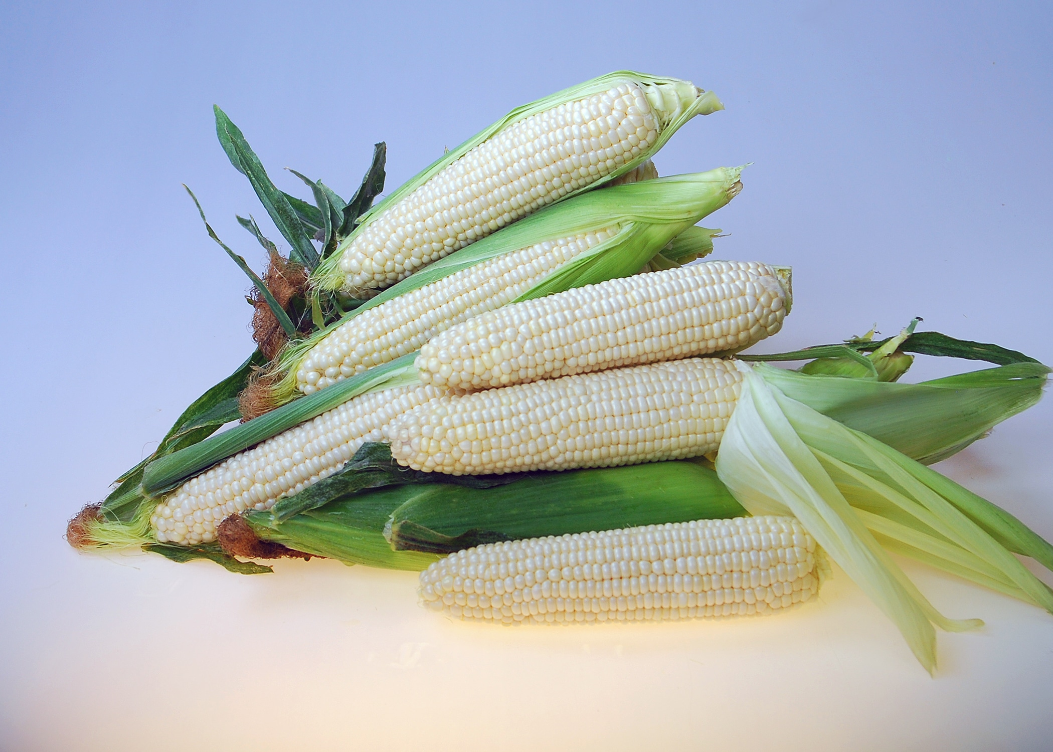 Eden RMN Sweet Corn (Cruiser Treated)