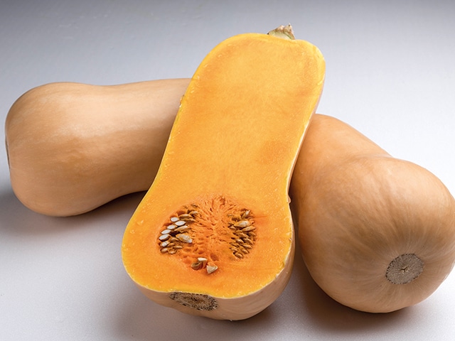 Havana Butternut Squash (Organic)