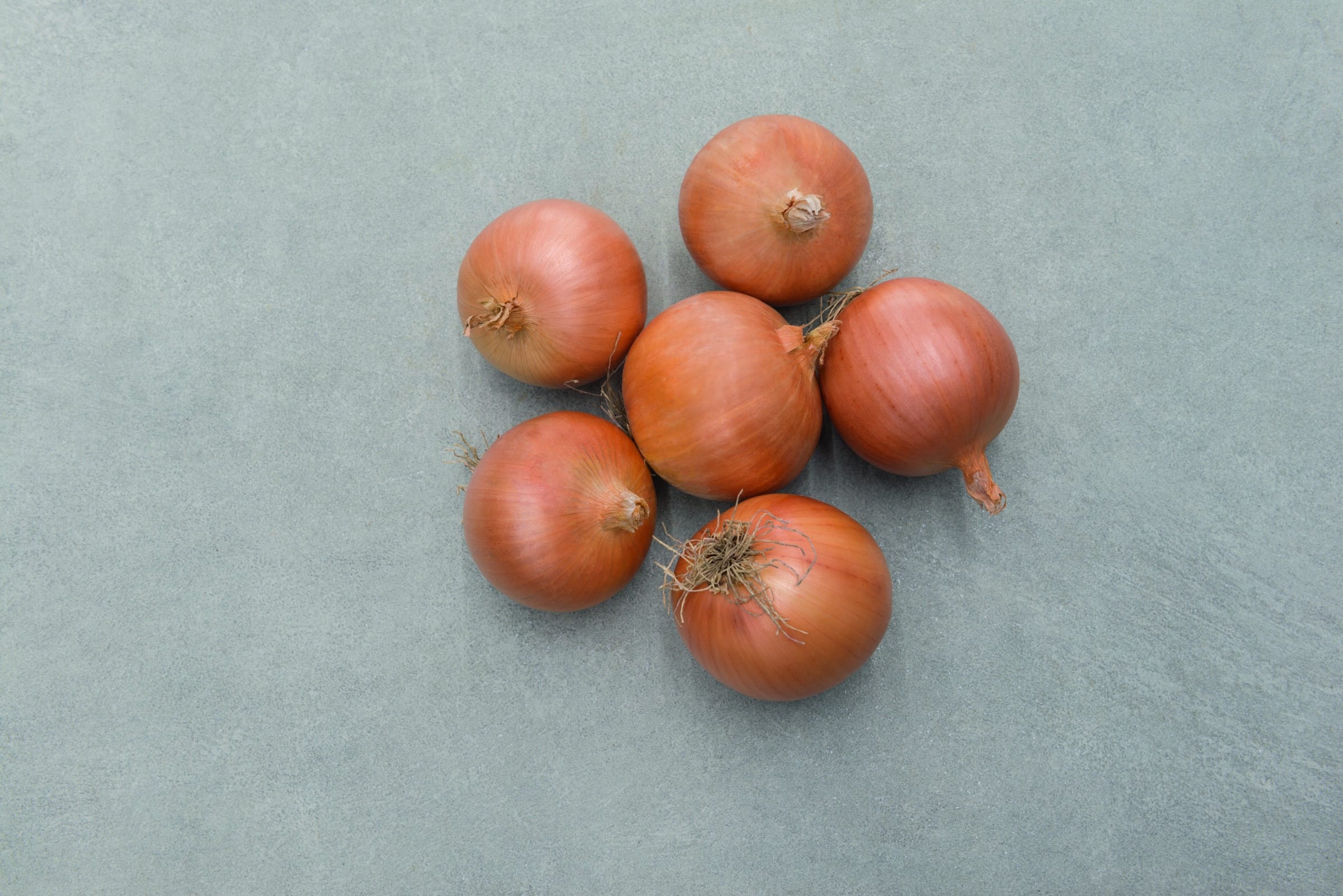 Mondella Onion (Treated Seed)