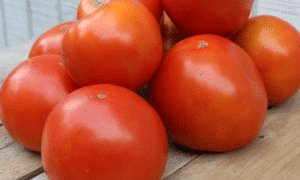 Saybrook Tomato (Pelleted)