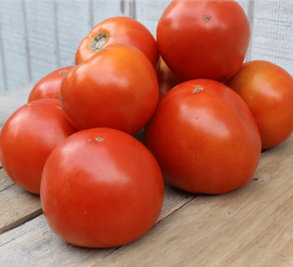 Saybrook Tomato (Pelleted)